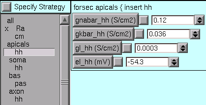 ../_images/apicalshhvalues0.gif