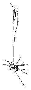 ../_images/pyr.gif