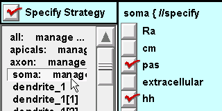 ../_images/somafixx.gif