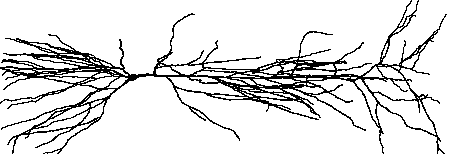 ../_images/pyramid.gif